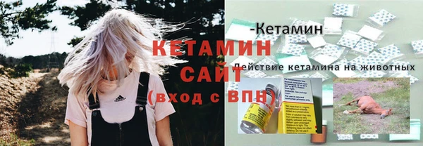 ПСИЛОЦИБИНОВЫЕ ГРИБЫ Кукмор