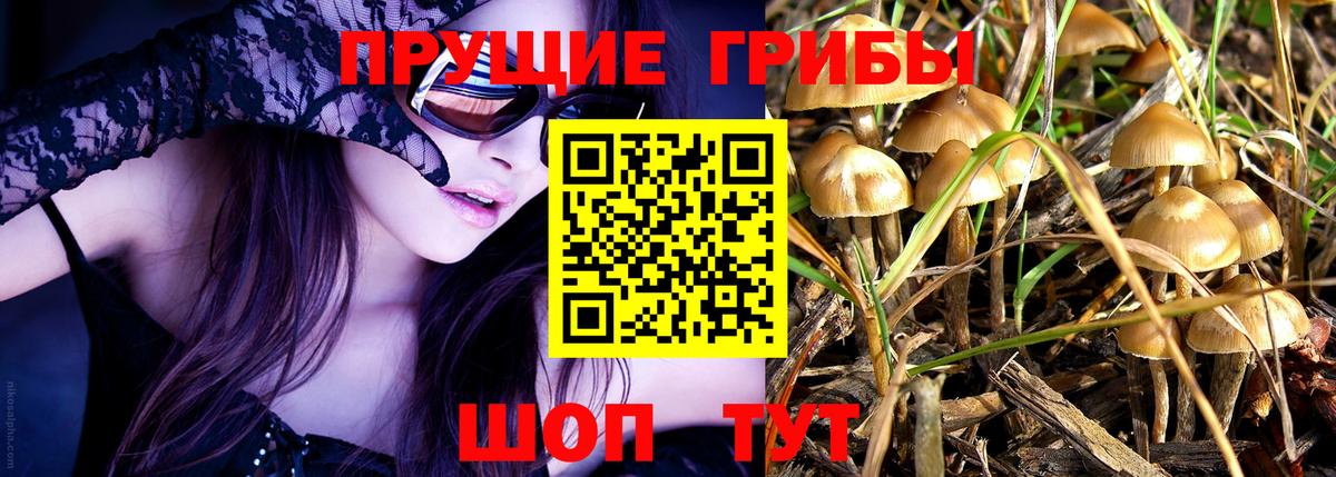 Галлюциногенные грибы MAGIC MUSHROOMS Каменск-Шахтинский