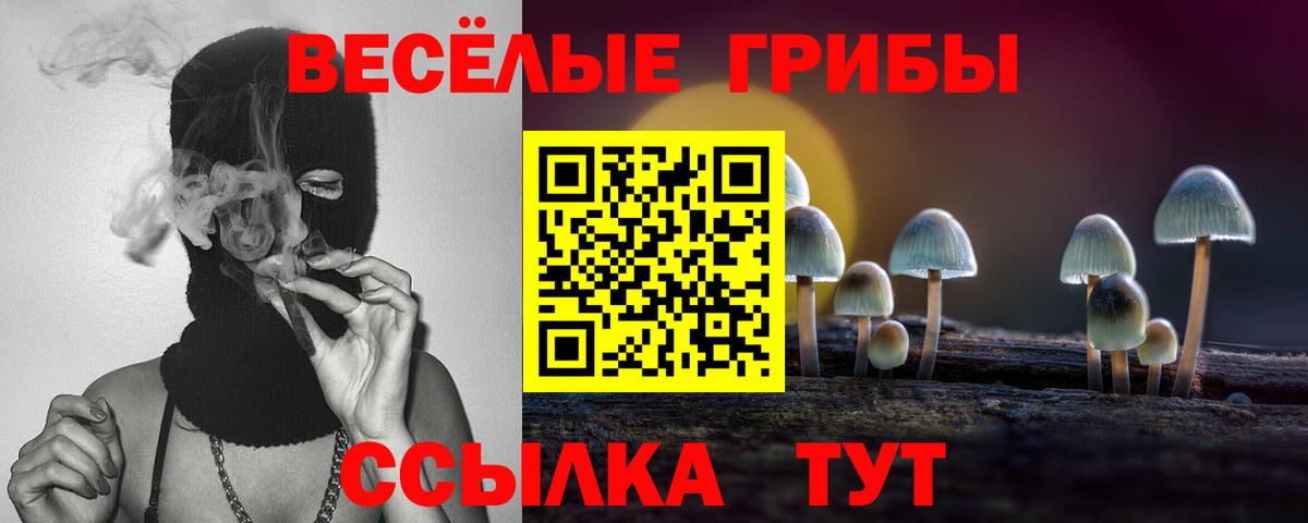 Псилоцибиновые грибы Psilocybe  Вход с VPN  где найти   Галлюциногенные грибы MAGIC MUSHROOMS  Каменск-Шахтинский 